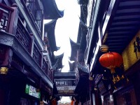 shyu_006
